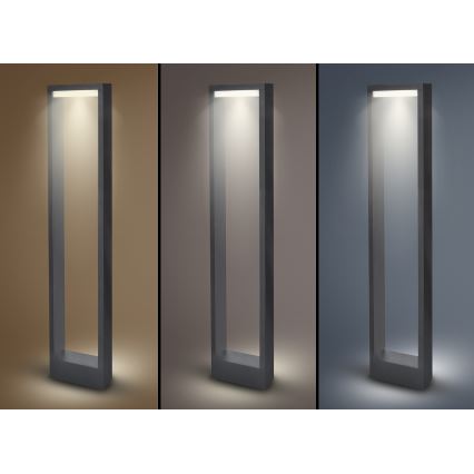 Brilagi - LED Vonkajšia lampa RAGUSA LED/7W/230V 3000/4000/6000K antracit IP54 80 cm