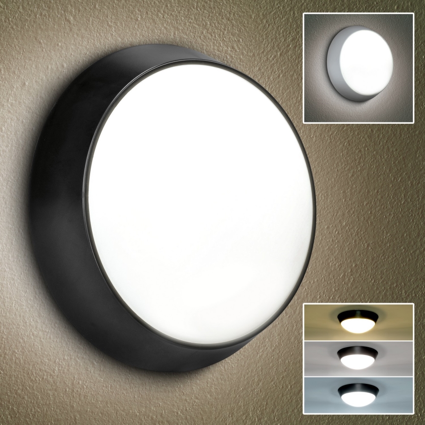 Brilagi - LED Vonkajšie nástenné svietidlo 2v1 BULKHEAD LED/20W/230V 3000/4000/6000K IP65