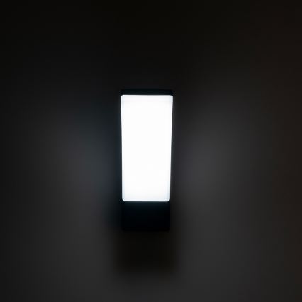 BRILAGI - LED Vonkajšie nástenné svietidlo ARCELO LED/12W/230V IP65 čierna