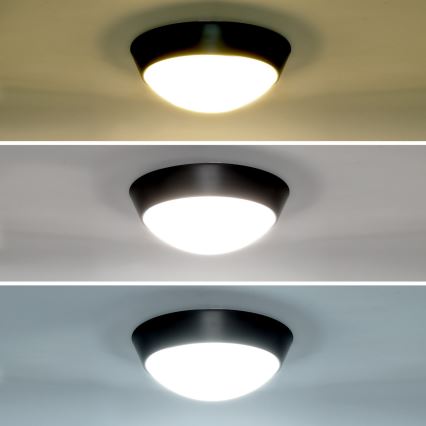 Brilagi - LED Vonkajšie nástenné svietidlo 2v1 BULKHEAD LED/20W/230V 3000/4000/6000K IP65