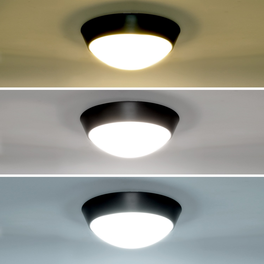 Brilagi - LED Vonkajšie nástenné svietidlo 2v1 BULKHEAD LED/20W/230V 3000/4000/6000K IP65