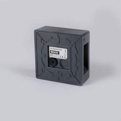 Brilagi - LED Vonkajšie nástenné svietidlo DOUBLERAY LED/6W/230V antracit IP54