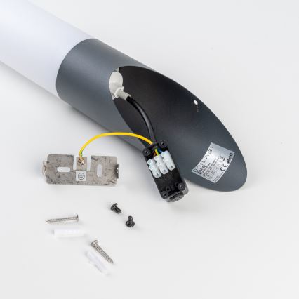 BRILAGI - LED vonkajšie nástenné svietidlo ELIA 1xE27/7W/230V 4000K IP44 antracit