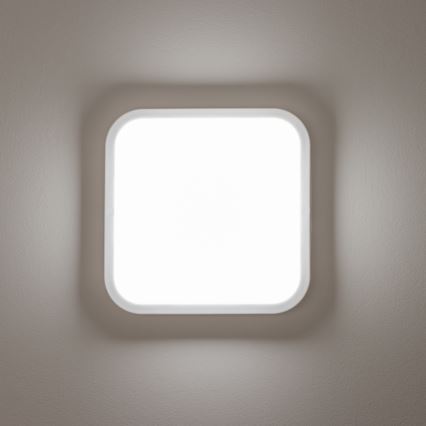 Brilagi - LED Vonkajšie nástenné svietidlo LED/20W/230V IP54