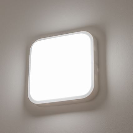 Brilagi - LED Vonkajšie nástenné svietidlo LED/20W/230V IP54