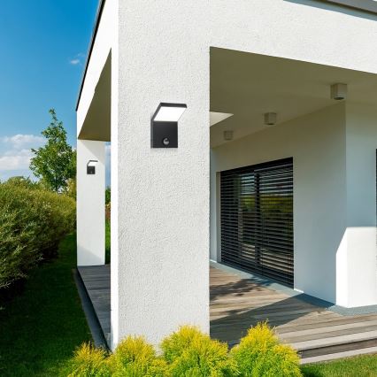 Brilagi - LED vonkajšie nástenné svietidlo so senzorom RIANO LED/8W/230V antracit IP65