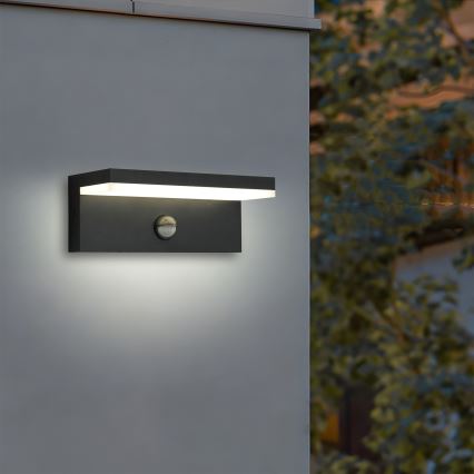 Brilagi - LED vonkajšie nástenné svietidlo so senzorom TESSI LED/10W/230V čierne IP54