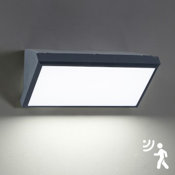 Brilagi - LED Vonkajšie nástenné svietidlo so senzorom TRIANGLE LED/20W/230V antracit IP65