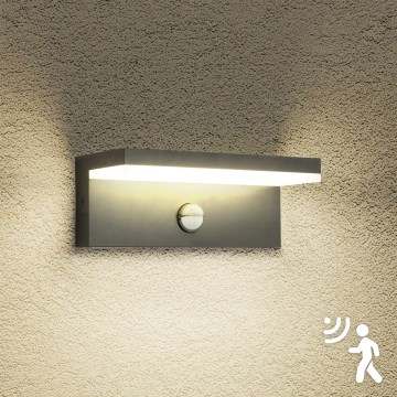 Brilagi - LED vonkajšie nástenné svietidlo so snímačom pohybu TESSI LED/10W/230V antracitové IP54