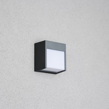 Brilagi - LED Vonkajšie nástenné svietidlo TERNI LED/12W/230V antracit IP44