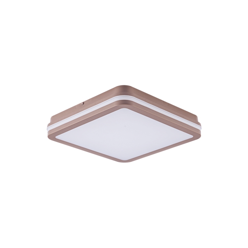 Brilagi - LED vonkajšie stropné svietidlo BENE LED/24W/230V 26x26 cm hnedé IP54