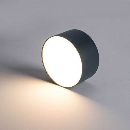 BRILAGI - LED Vonkajšie stropné svietidlo FORIS LED/14W/230V pr. 12 cm antracit IP44