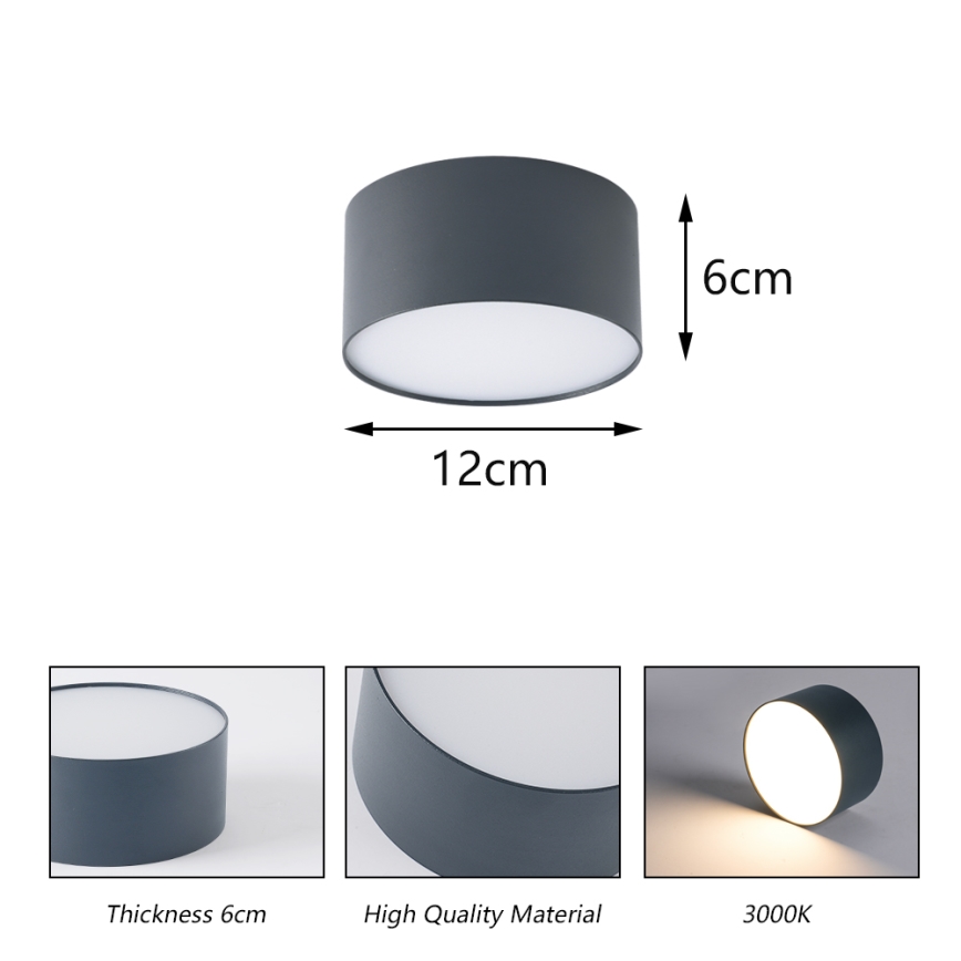 BRILAGI - LED Vonkajšie stropné svietidlo FORIS LED/14W/230V pr. 12 cm antracit IP44