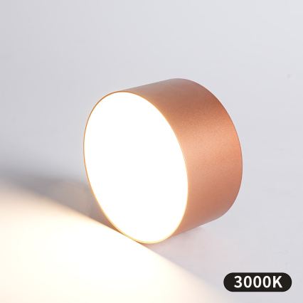 BRILAGI - LED Vonkajšie stropné svietidlo FORIS LED/14W/230V priemer 12 cm bronzové IP44