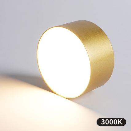 BRILAGI - Vonkajšie stropné svietidlo FORIS LED/14W/230V pr. 12 cm zlaté IP44