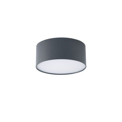 BRILAGI - LED Vonkajšie stropné svietidlo FORIS LED/20W/230V pr. 15 cm antracit IP44
