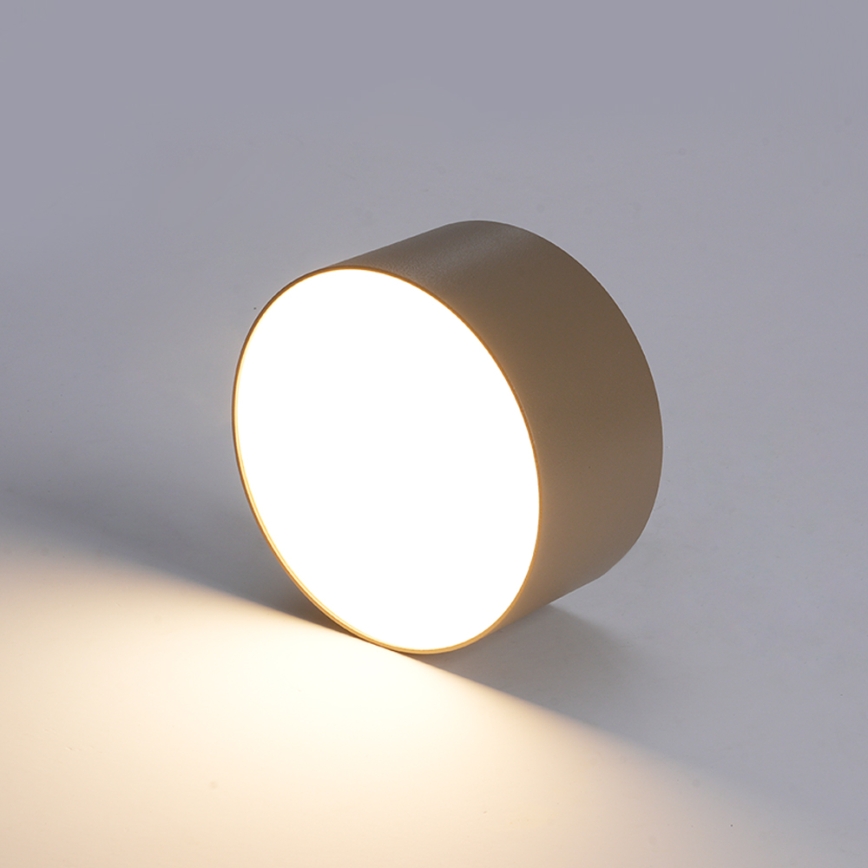 BRILAGI - LED Vonkajšie stropné svietidlo FORIS LED/20W/230V pr. 15 cm béžová IP44