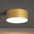BRILAGI - LED Vonkajšie stropné svietidlo FORIS LED/20W/230V pr. 15 cm zlaté IP44