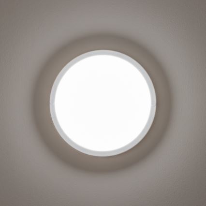 Brilagi - LED Vonkajšie stropné svietidlo LED/13W/230V pr. 17 cm IP54