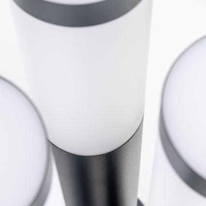 BRILAGI - LED vonkajšie svietidlo ELIA 1xE27/7W/230V 4000K IP44 100 cm antracit