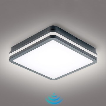 Brilagi - LED Vonkajšie svietidlo so senzorom BENE LED/24W/230V 26x26 cm antracit IP54