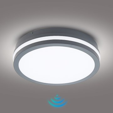 Brilagi - LED vonkajšie svietidlo so senzorom BENE LED/24W/230V, priemer 26 cm, antracit, IP54