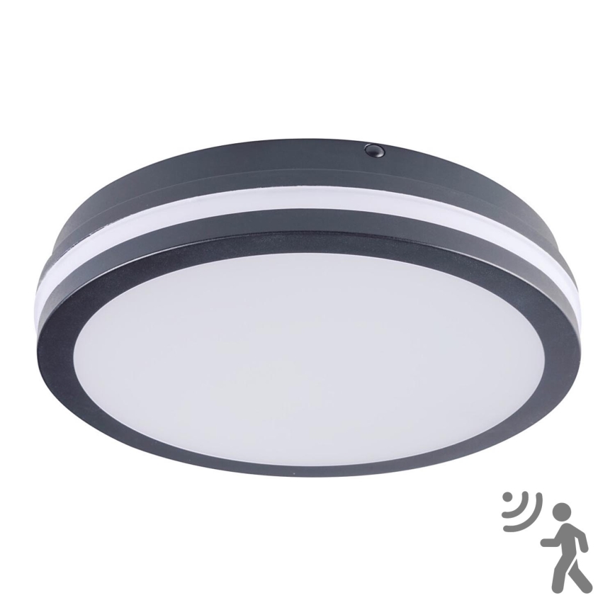 Brilagi - LED vonkajšie svietidlo so senzorom BENE LED/24W/230V, priemer 26 cm, antracit, IP54