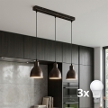 BRILAGI - LED závesné svietidlo RIDDY na lanku 3xE27/60W/230V medená/patina