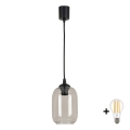 BRILAGI - LED závesný luster na lanku RETRO GLASS 1xE27/60W/230V pr. 14 cm čierna/dymová sivá