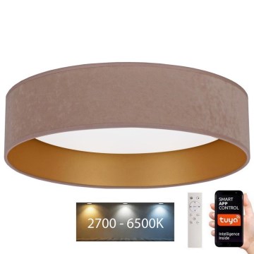 Brilagi - LEDStmievateľné stropné svietidlo VELVET SMART LED/36W/230V pr. 55 cm 2700-6500K Wi-Fi Tuya béžová/zlatá + diaľkové ovládanie