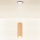 Brilagi - Luster na lanku SELE 1xGU10/30W/230V biela/dekor duba