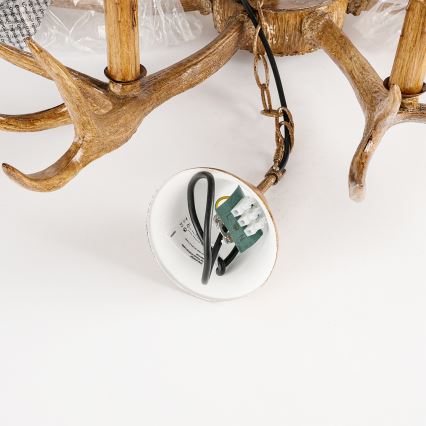 Brilagi - Luster na reťazi DEER 6xE14/10W/230V pr. 80 cm