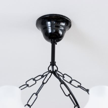 Brilagi - Luster na reťazi QUEEN 8xE14/40W/230V buk/orech