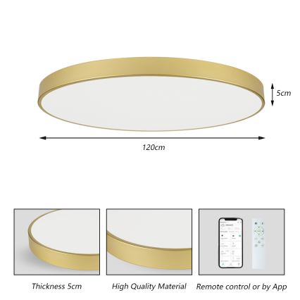 Brilagi - Stmievateľné LED stropné svietidlo POOL SMART LED/180W/230V 3000-6000K 120 cm zlaté Wi-Fi Tuya + diaľkové ovládanie