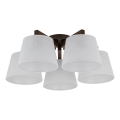 Brilagi - Prisadený luster LATTE 5xE27/60W/230V borovica/biela