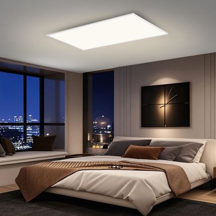 Brilagi - LED stropné svietidlo SLIMFRAME LED/80W/230V 120x60 cm 3000/4000/6000K biela
