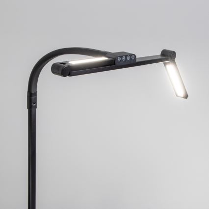 BRILAGI - LED stmievateľná dotyková stolová lampa so svorkou VARIO LED/24W/230V 3000-6500K CRI 92 čierna