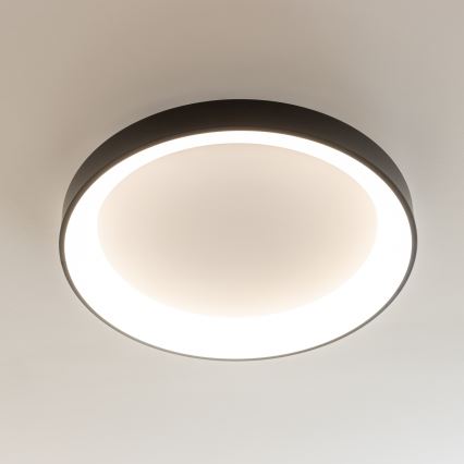 Brilagi - LED stmievateľné stropné svietidlo FALCON II LED/99W/230V 3000-6500K pr. 60 cm čierna + diaľkové ovládanie