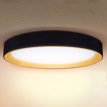 Brilagi - Stmievateľné LED stropné svietidlo LARIOS LED/72W/230V 3000-6500K čierna pr. 59 cm + diaľkové ovládanie