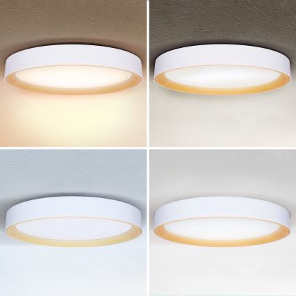 Brilagi - LED stmievateľné stropné svietidlo LARIOS LED/72W/230V biela pr. 59 cm + diaľkové ovládanie