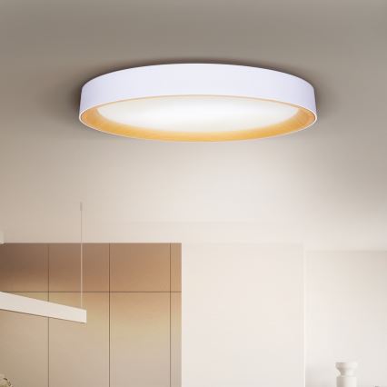 Brilagi - LED stmievateľné stropné svietidlo LARIOS LED/72W/230V biela pr. 59 cm + diaľkové ovládanie