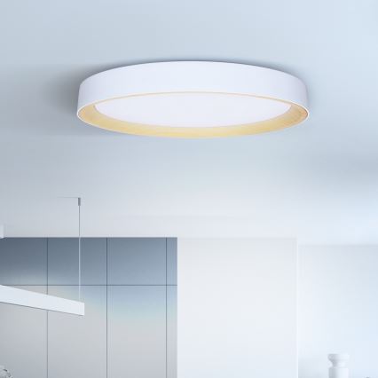 Brilagi - LED stmievateľné stropné svietidlo LARIOS LED/72W/230V biela pr. 59 cm + diaľkové ovládanie