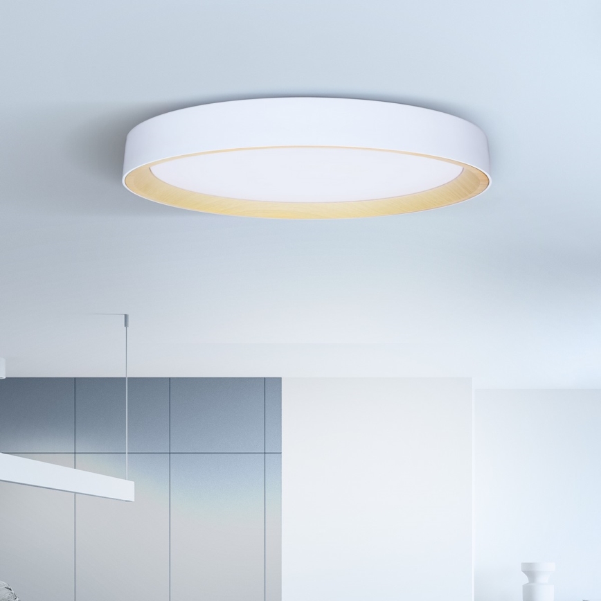 Brilagi - LED stmievateľné stropné svietidlo LARIOS LED/72W/230V biela pr. 59 cm + diaľkové ovládanie