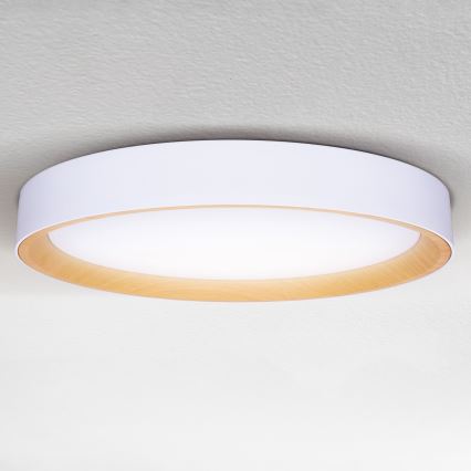 Brilagi - LED stmievateľné stropné svietidlo LARIOS LED/72W/230V biela pr. 59 cm + diaľkové ovládanie