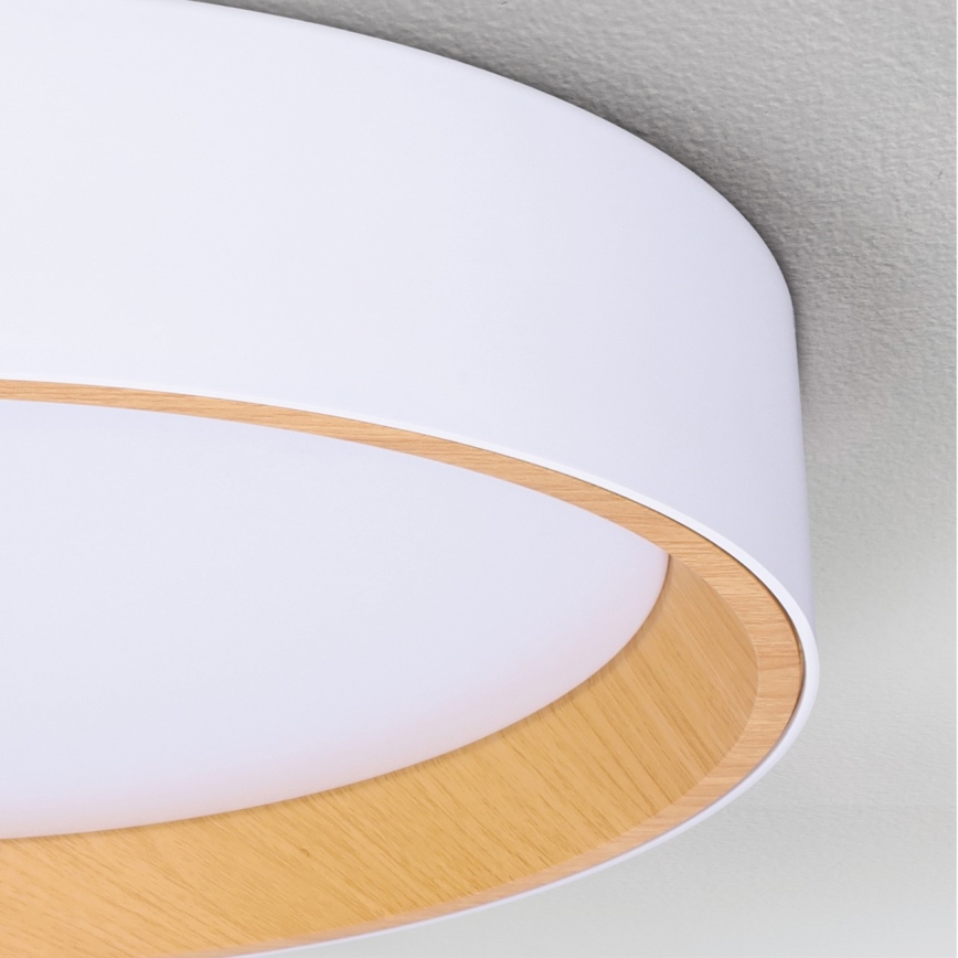 Brilagi - LED stmievateľné stropné svietidlo LARIOS LED/72W/230V biela pr. 59 cm + diaľkové ovládanie