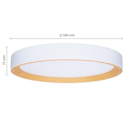 Brilagi - LED stmievateľné stropné svietidlo LARIOS LED/72W/230V biela pr. 59 cm + diaľkové ovládanie