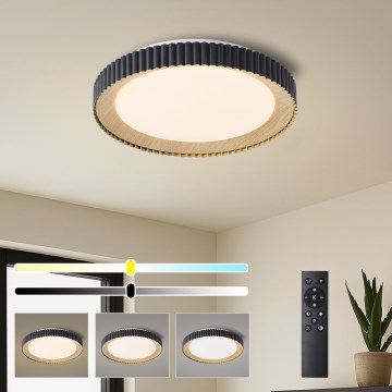 Brilagi - stmievateľné LED stropné svietidlo NEXO LED/48W/230V 3000–6000K čierne pr. 43 cm + diaľkové ovládanie