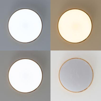 Brilagi - LED stmievateľné stropné svietidlo PINE LED/24W/230V drevené, priemer 42 cm, 3000-6500K + diaľkové ovládanie