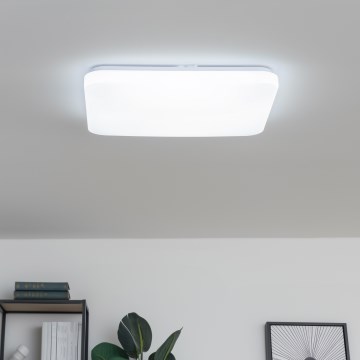 Brilagi - stmievateľné LED stropné svietidlo PINE LED/60W/230V pr. 52 cm 3000-6500K + diaľkové ovládanie