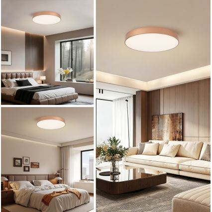 BRILAGI - LED stmievateľné stropné svietidlo POOL LED/60W/230V 3000-6000K priemer 60 cm bronzové + diaľkové ovládanie